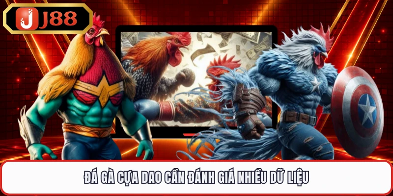 Đá gà cựa dao cần đánh giá nhiều dữ liệu