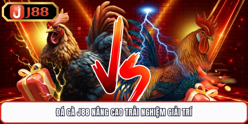 Đá gà J88 nâng cao trải nghiệm giải trí