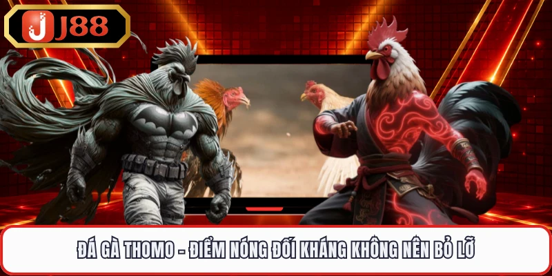 Đá Gà Thomo - Điểm Nóng Đối Kháng Không Nên Bỏ Lỡ