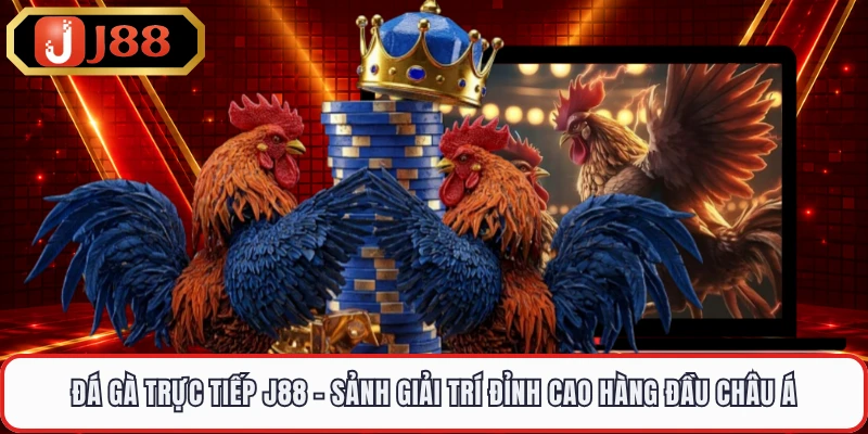 Đá Gà Trực Tiếp J88 - Sảnh Giải Trí Đỉnh Cao Hàng Đầu Châu Á