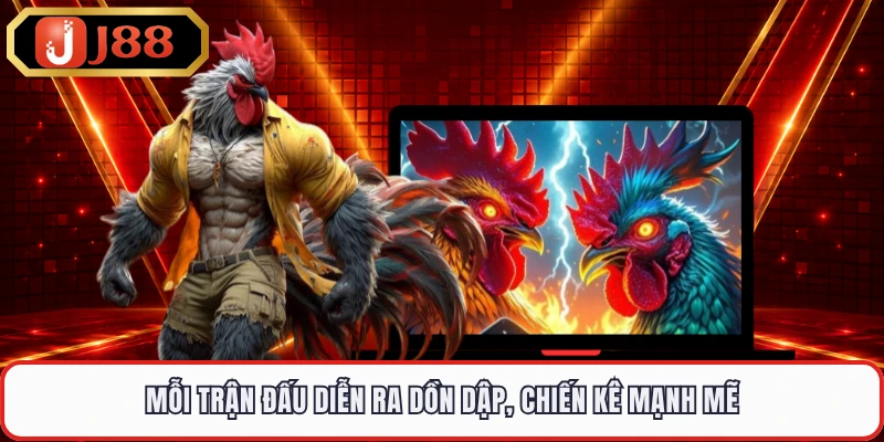 Mỗi trận đấu diễn ra dồn dập, chiến kê mạnh mẽ