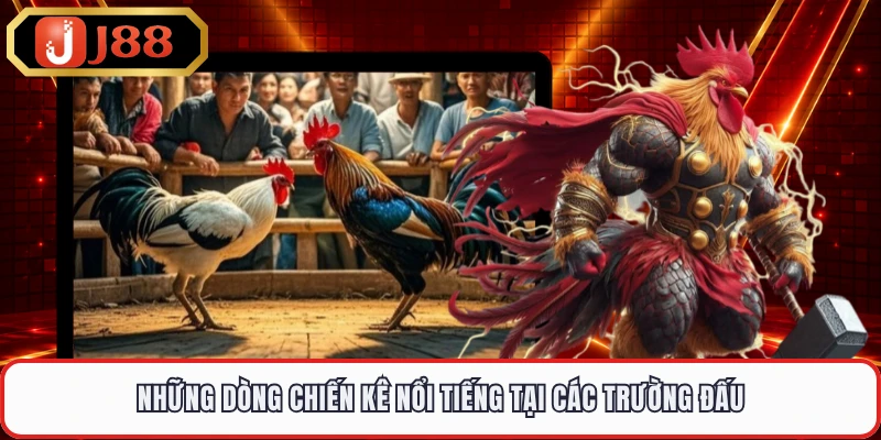 Những dòng chiến kê nổi tiếng tại các trường đấu