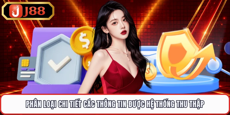 Phân loại chi tiết các thông tin được hệ thống thu thập 