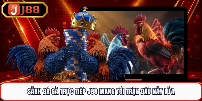 Sảnh đá gà trực tiếp J88 mang tới trận đấu nảy lửa