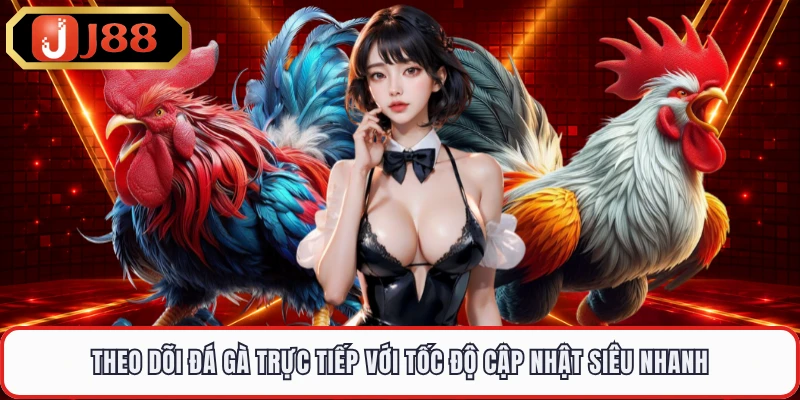 Theo dõi đá gà trực tiếp với tốc độ cập nhật siêu nhanh