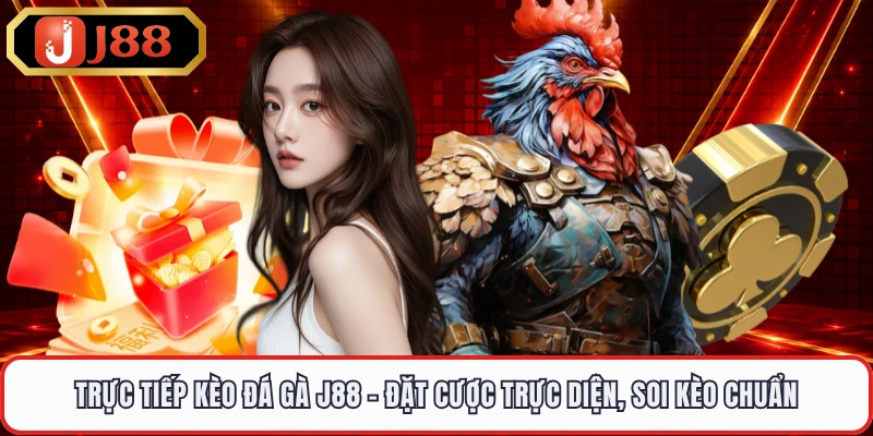 Trực Tiếp Kèo Đá Gà J88 - Đặt Cược Trực Diện, Soi Kèo Chuẩn